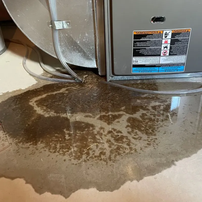 Pipe Burst and Leak Restoration in Franklin, NE