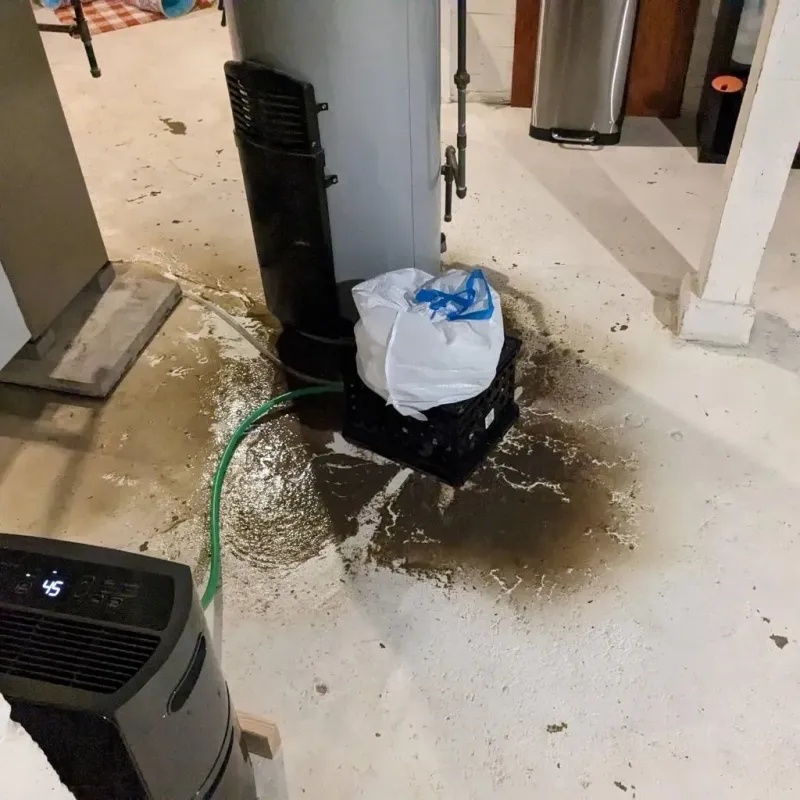 Sewage Backup Cleanup Service in Franklin, NE
